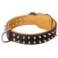 Walking Leather Dog Collar with Nickel Spikes and Interior Nappa Leather Padding