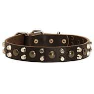 Elegant Leather Dog Collar with Studs and Pyramids