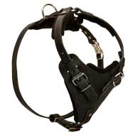 Adjustable Leather Dog Harness for Attack / Agitation / Protection Training