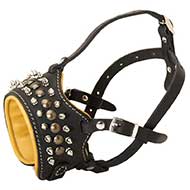 Nappa Padded Leather Dog Muzzle for Daily Walking
