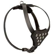 Fashion Adjustable Leather Puppy Harness for Daily Walking