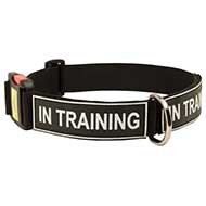 Any Weather Nylon Dog Collar with ID Patches and Quick Release Buckle