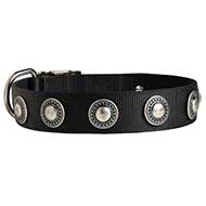 Fashion Nylon Dog Collar with Silvery Conchos for Walking and Training