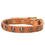Narrow Studded Leather Collar for Walking Small Breed Dogs
