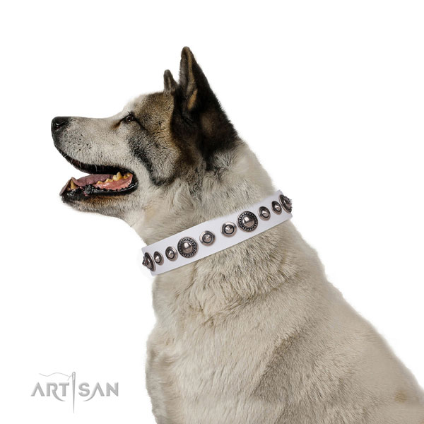 Exceptional embellished natural leather dog collar for walking