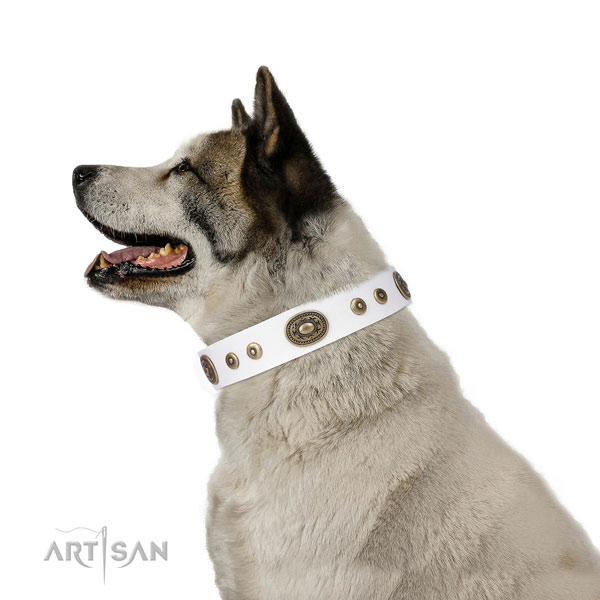 Fashionable adorned natural leather dog collar for daily use