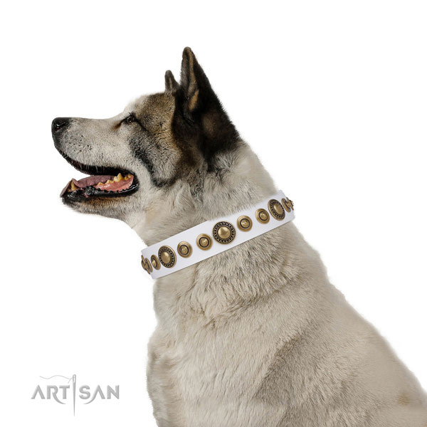 Rust resistant buckle and D-ring on genuine leather dog collar for daily use