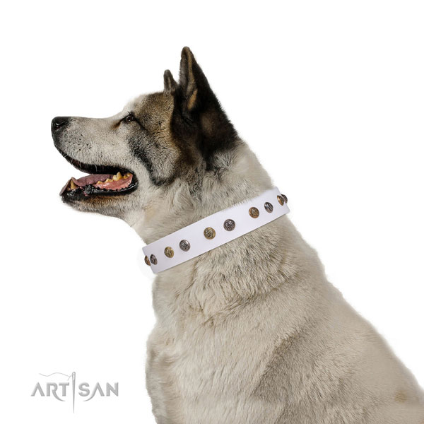 Stylish walking embellished dog collar made of strong leather
