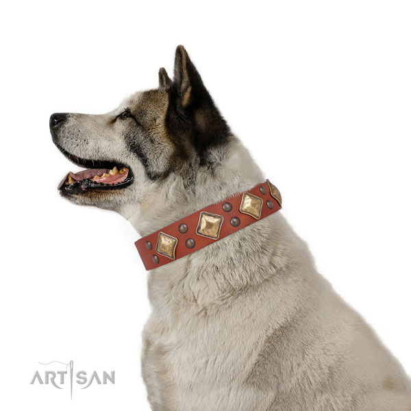 Stylish walking adorned dog collar made of strong leather