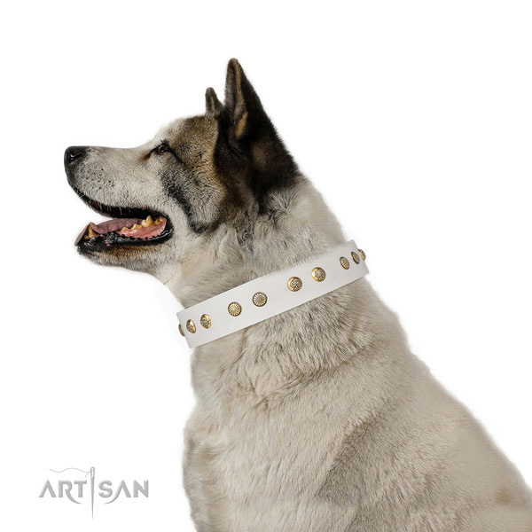 Exquisite studs on handy use full grain genuine leather dog collar