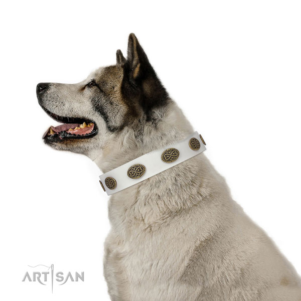 Stunning adornments on basic training full grain leather dog collar