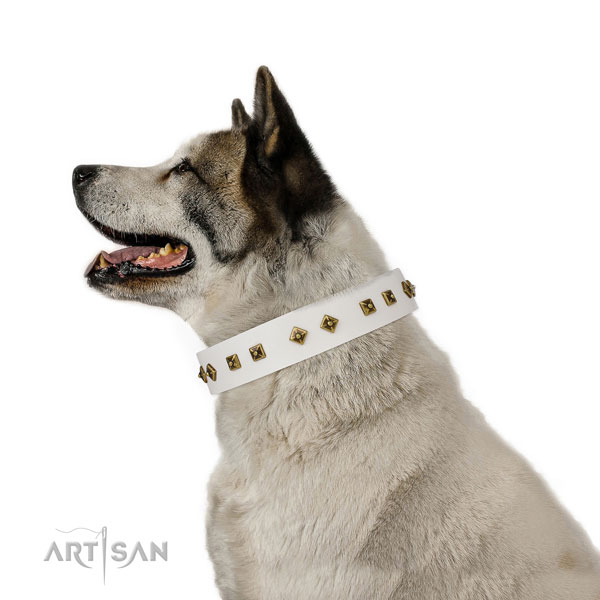 Unusual decorations on comfy wearing dog collar