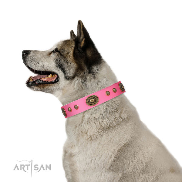 Designer adornments on daily walking dog collar