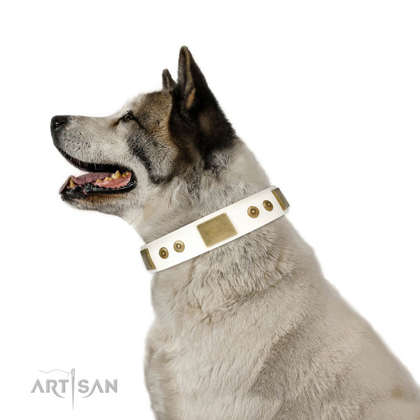 Best quality handy use dog collar of natural leather