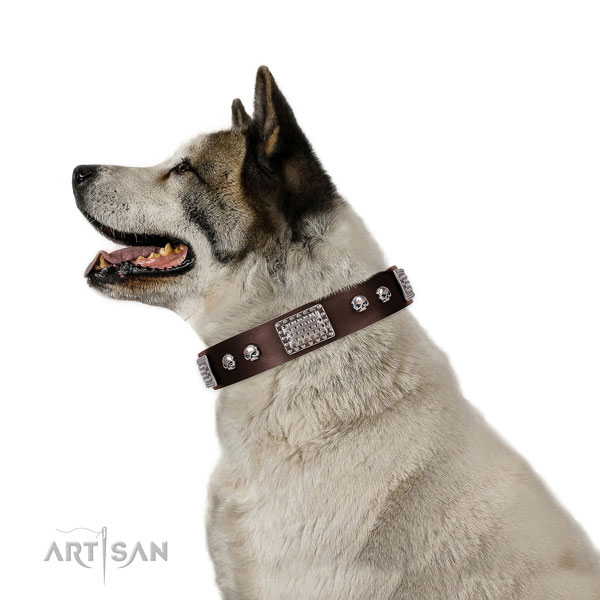 Adorned full grain natural leather collar for your attractive four-legged friend