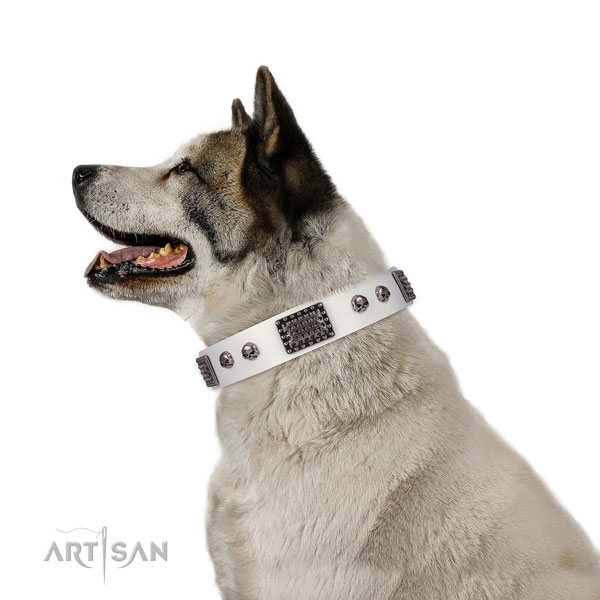 Inimitable genuine leather collar for your handsome canine