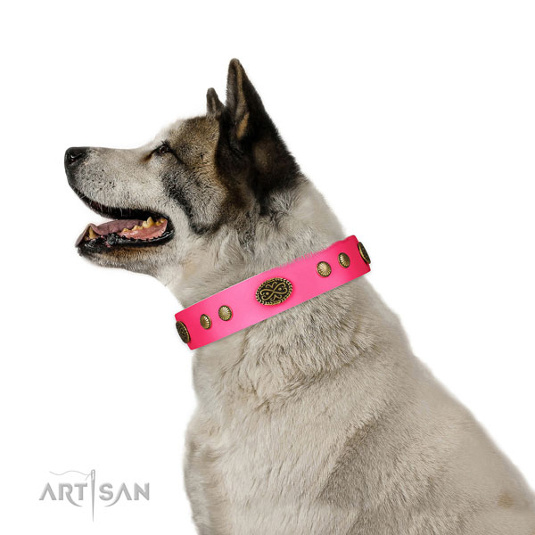 Durable hardware on full grain genuine leather dog collar for everyday walking