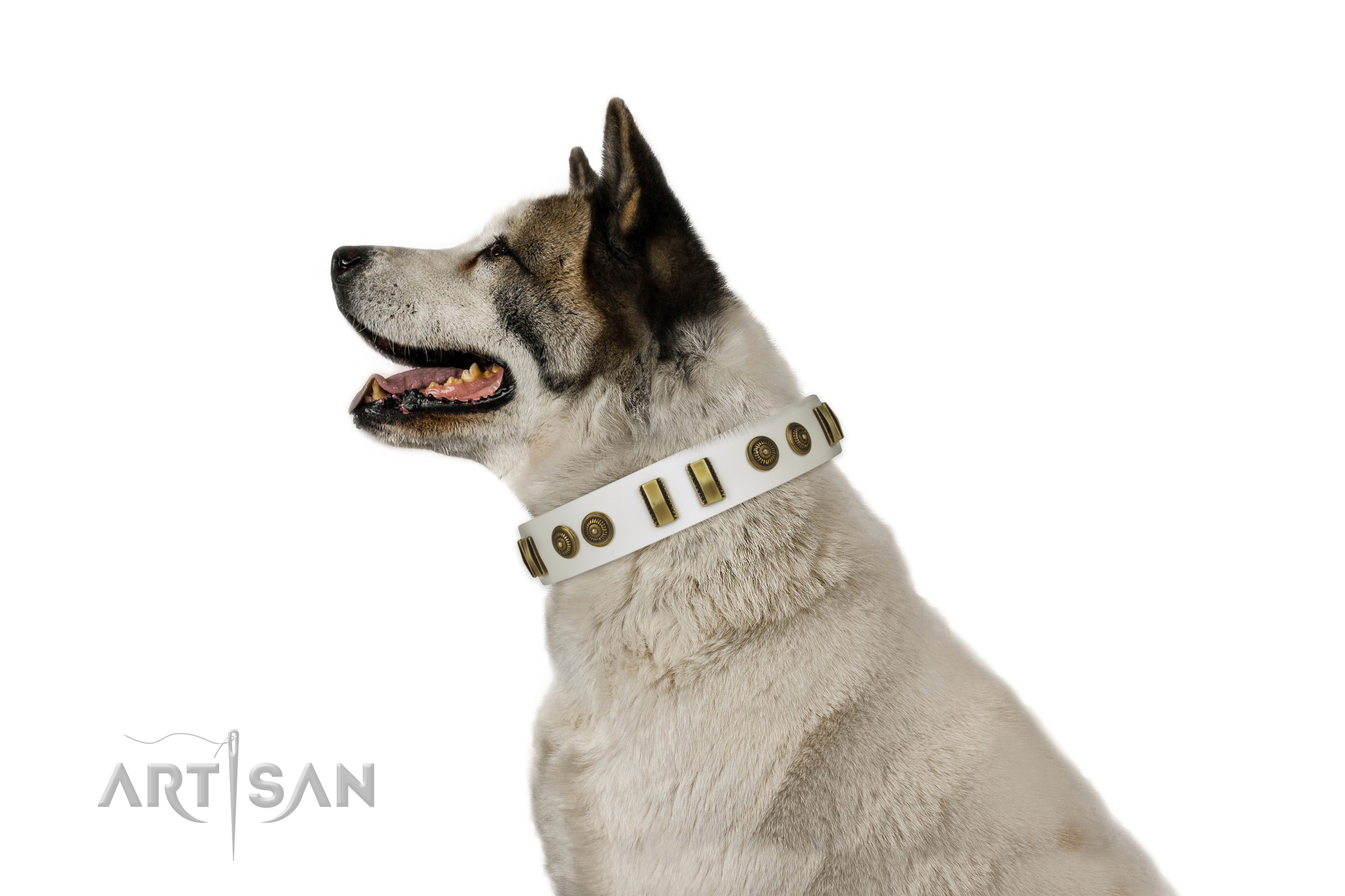 Corrosion resistant D-ring on full grain natural leather dog collar for handy use