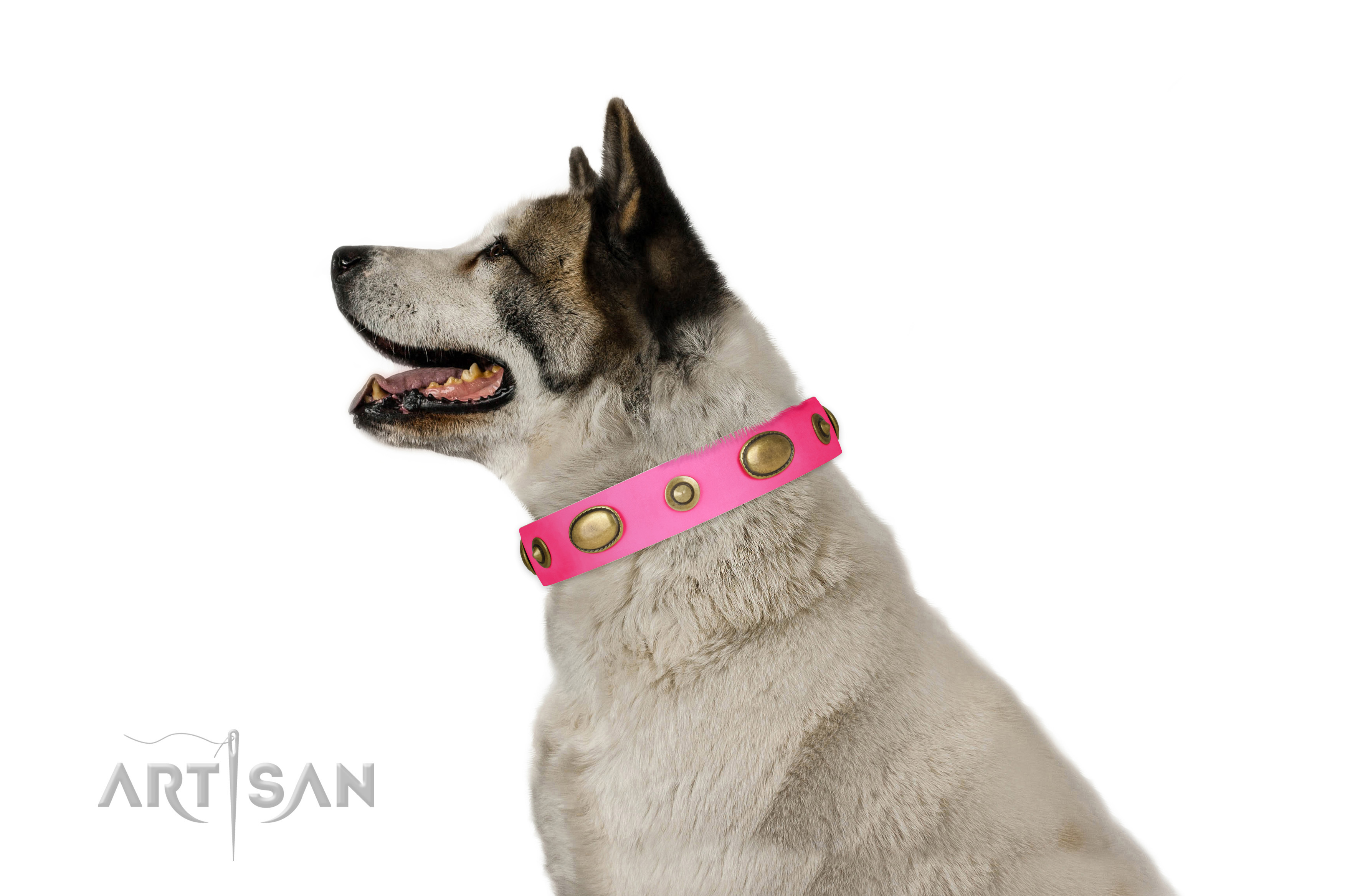 Basic training dog collar of leather with extraordinary decorations