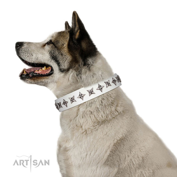 Finest quality genuine leather dog collar with inimitable decorations