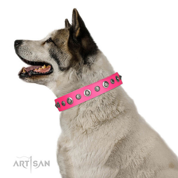 Genuine leather collar with reliable traditional buckle for your beautiful pet