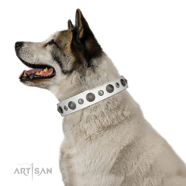 Adorned leather dog collar with rust-proof hardware