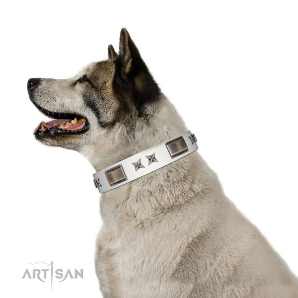 Amazing collar of full grain genuine leather for your handsome four-legged friend