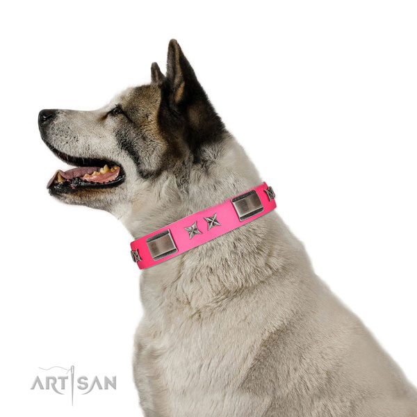 Stylish design collar of full grain leather for your four-legged friend