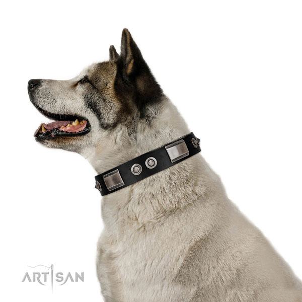 Studded collar of genuine leather for your doggie