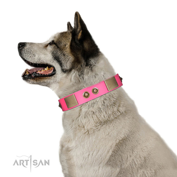 Everyday walking dog collar of leather with incredible studs