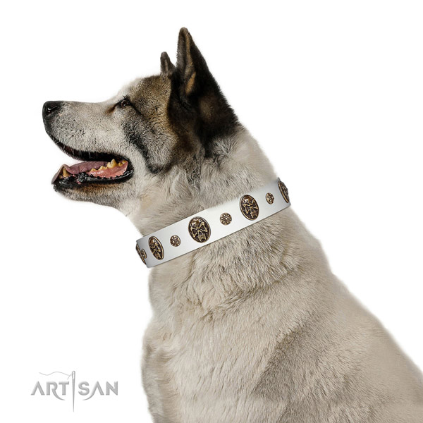 Easy wearing dog collar of natural leather with awesome embellishments