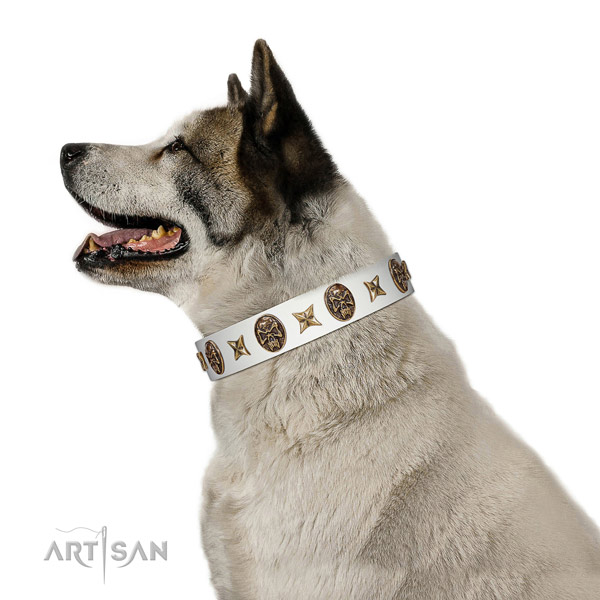 Adjustable dog collar made for your lovely canine