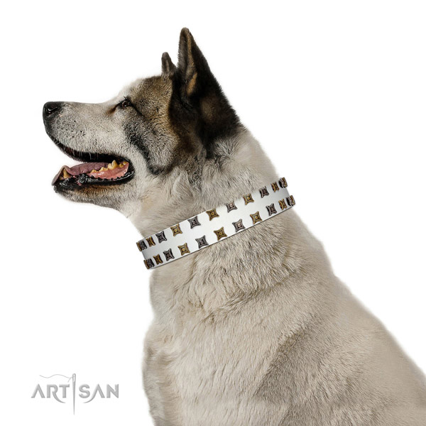 Quality leather dog collar with decorations for your four-legged friend