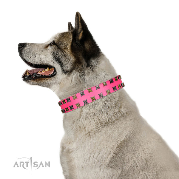 Top notch natural leather dog collar with adornments for your pet
