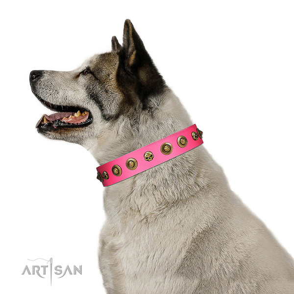 Stylish leather dog collar with decorations