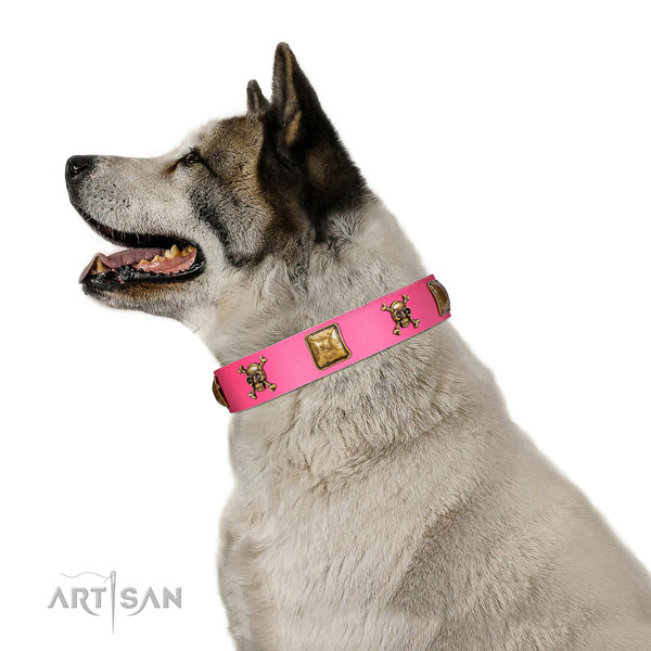 Leather dog collar with exceptional adornments for daily walking