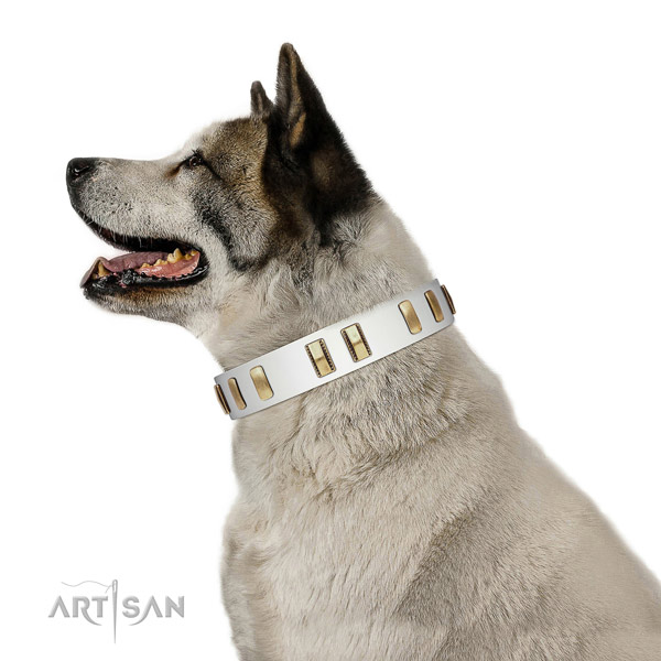 Genuine leather dog collar with impressive embellishments for everyday use