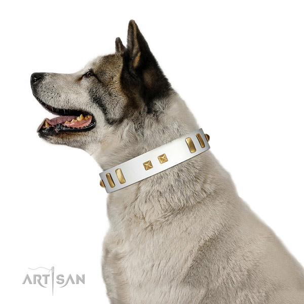 Stylish adorned leather dog collar of best quality material