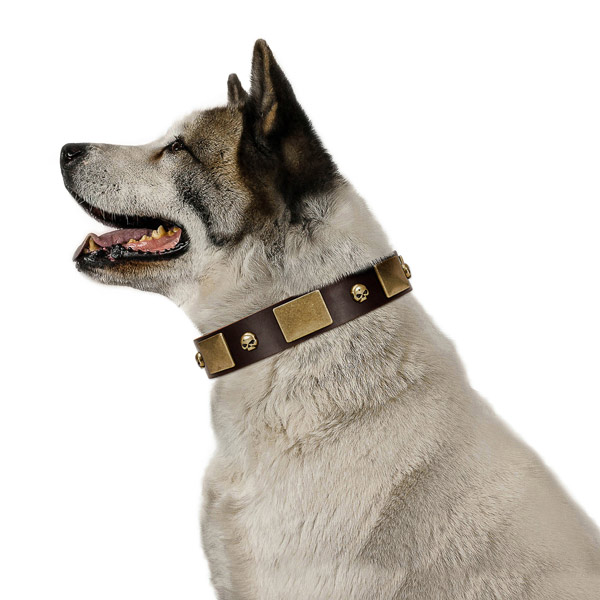 Soft full grain natural leather collar with corrosion resistant embellishments for your pet