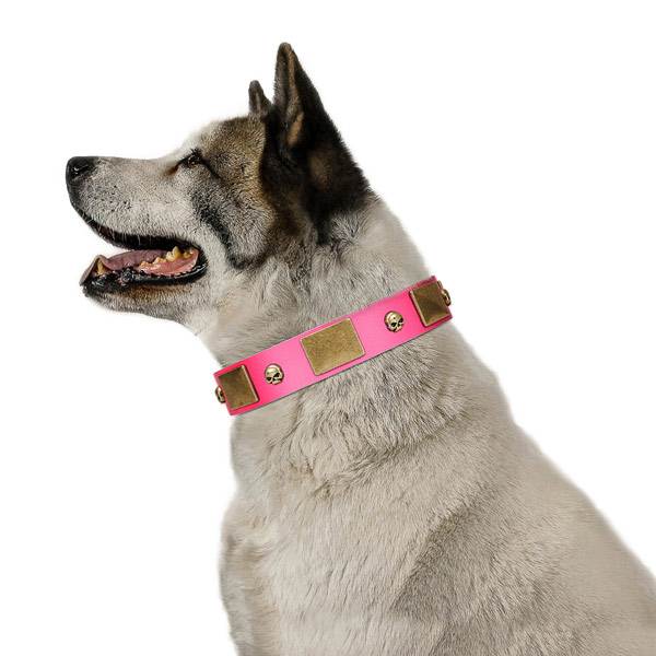 Strong genuine leather collar with corrosion resistant studs for your pet