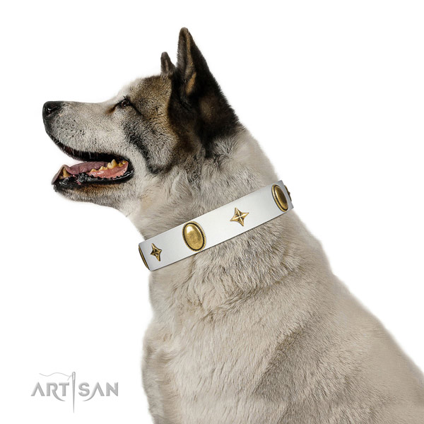 Durable full grain leather collar with trendy decorations for your dog