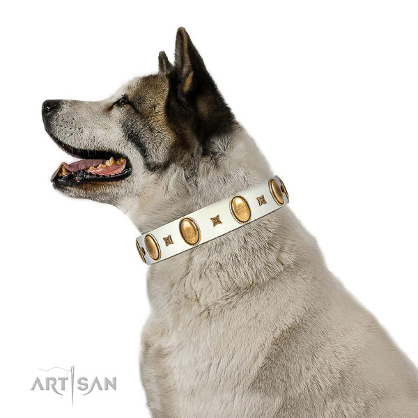 Stylish design adorned full grain leather dog collar of gentle to touch material