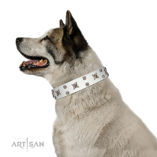 Gentle to touch leather dog collar with remarkable studs
