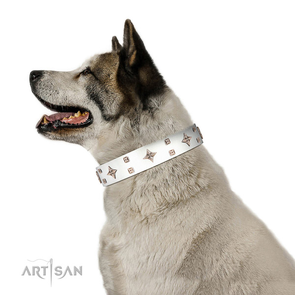 Full grain natural leather dog collar of reliable material with remarkable decorations