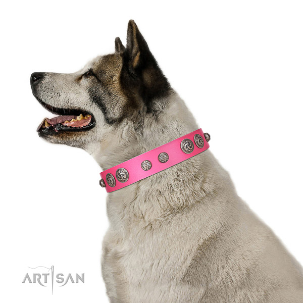 Awesome dog collar made for your stylish four-legged friend