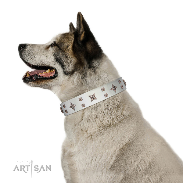 Inimitable full grain leather dog collar with adornments