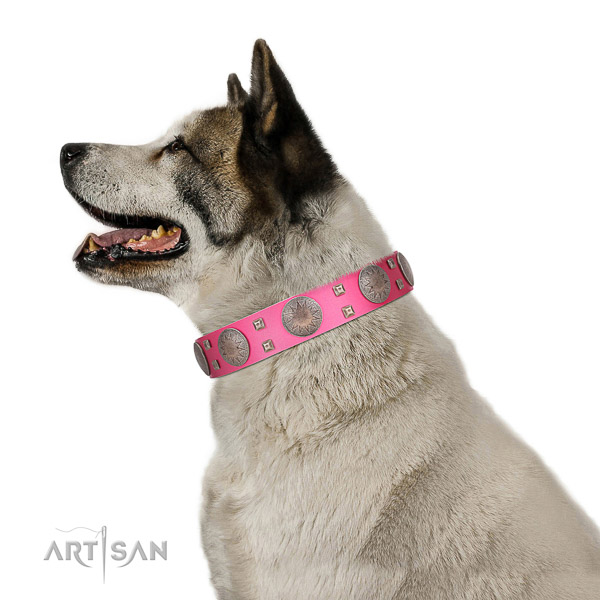 High quality full grain natural leather dog collar with rust resistant fittings