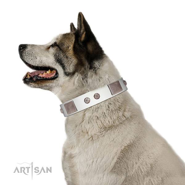 Fashionable collar of full grain leather for your handsome canine
