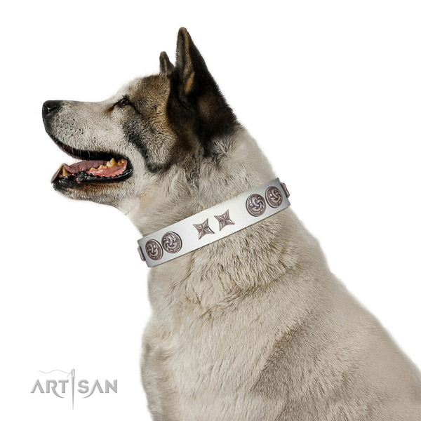 Natural leather collar with embellishments for your stylish doggie