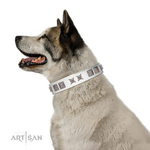 Full grain leather dog collar with exquisite adornments handmade four-legged friend